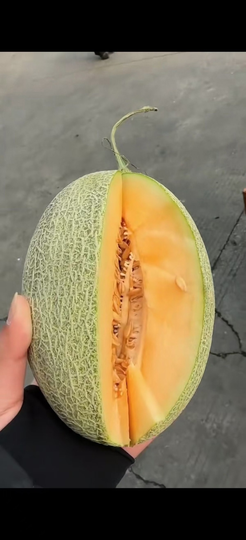 北海哈密瓜，需要的老板提前预定哦