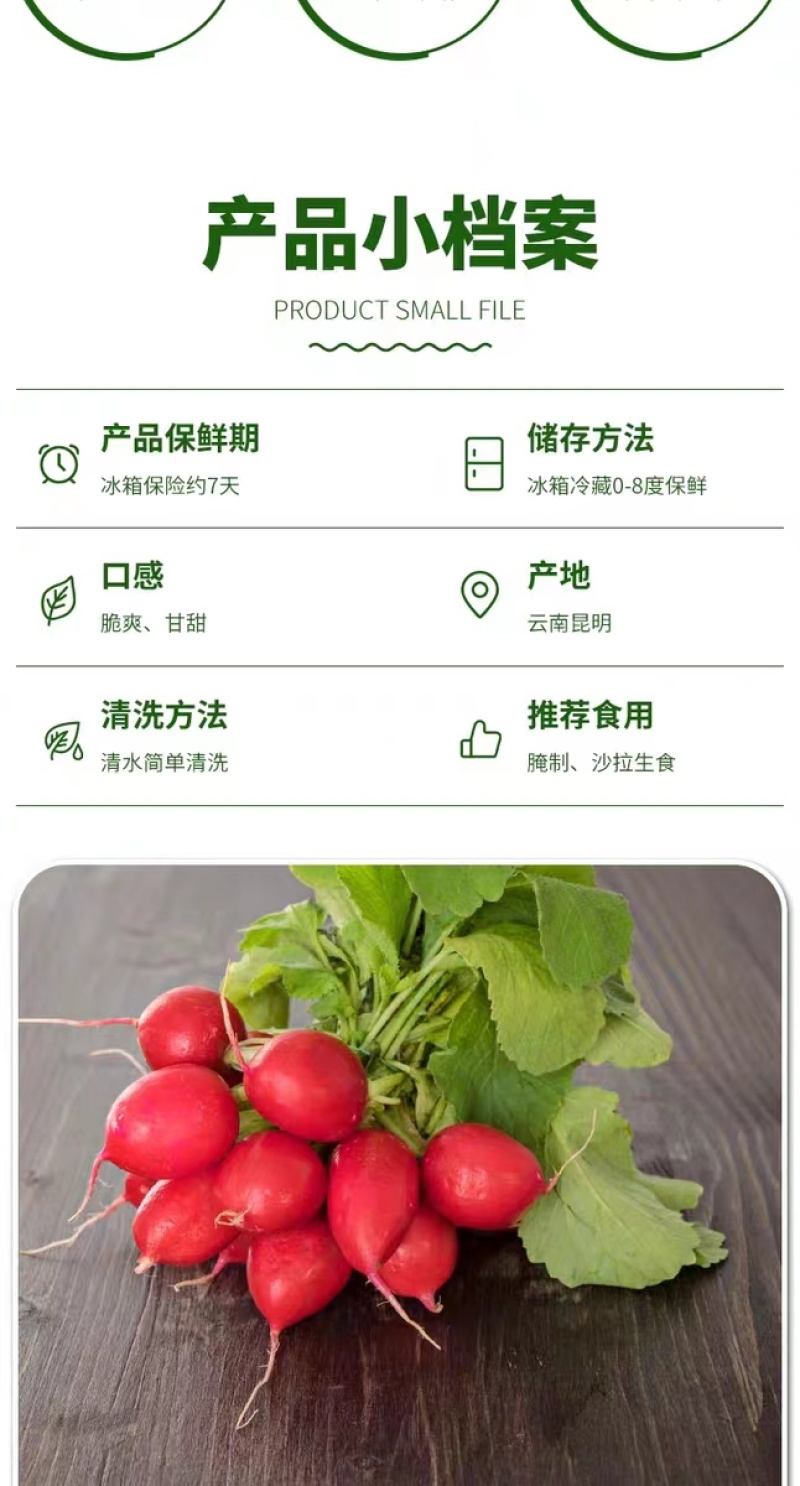 云南新鲜蔬菜樱桃小萝卜萝卜仔基地直发