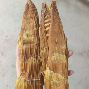 福建产区笋干