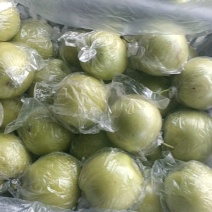 膜袋皇冠梨，纸袋皇冠梨大量上市，价格不高，保证质量