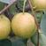 丹霞红梨口感脆甜多汁含糖量高河北主产区个头特大。