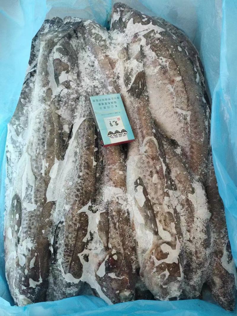 真鳕鱼，口感好，刺少，价格便宜，品质好，货源充足，