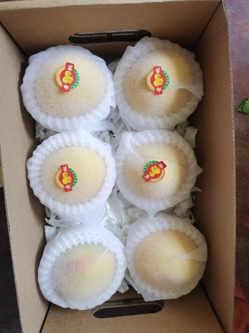 锦绣黄桃大量上市产地直发保质保量全国发货