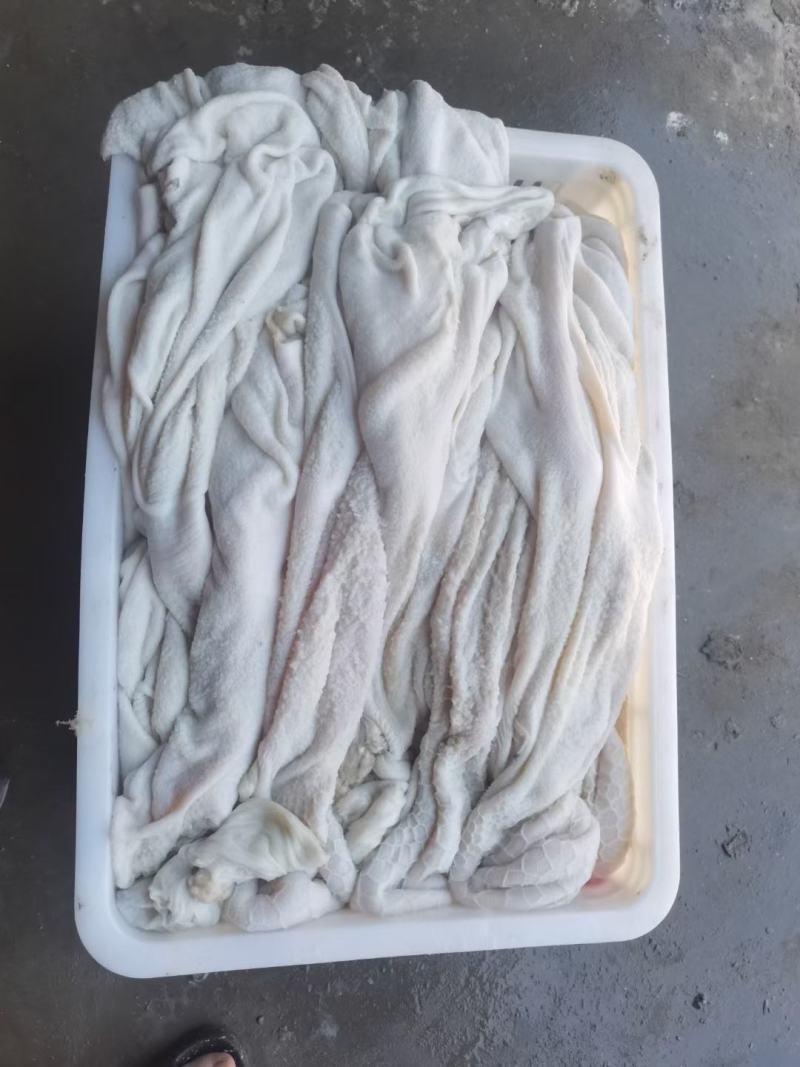 羔羊净肚免洗羊肚里外干净厂家直供