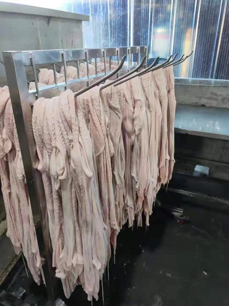 羔羊净肚免洗羊肚里外干净厂家直供