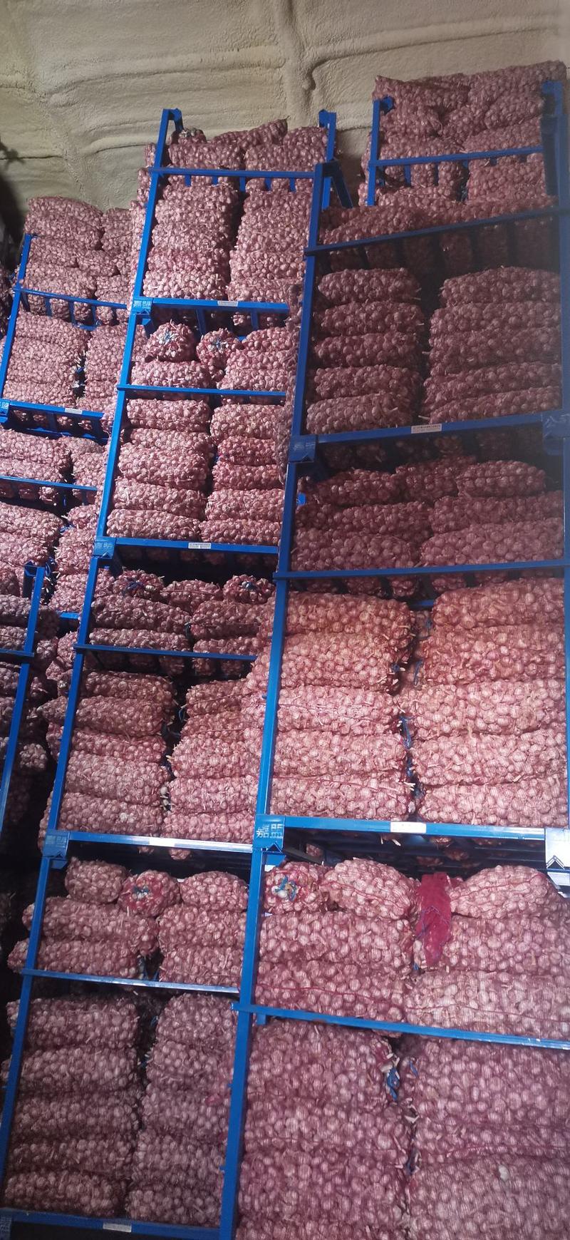 金乡红皮大蒜，红蒜全国发货，电商批发，长期有货
