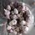 金乡红皮大蒜，红蒜全国发货，电商批发，长期有货