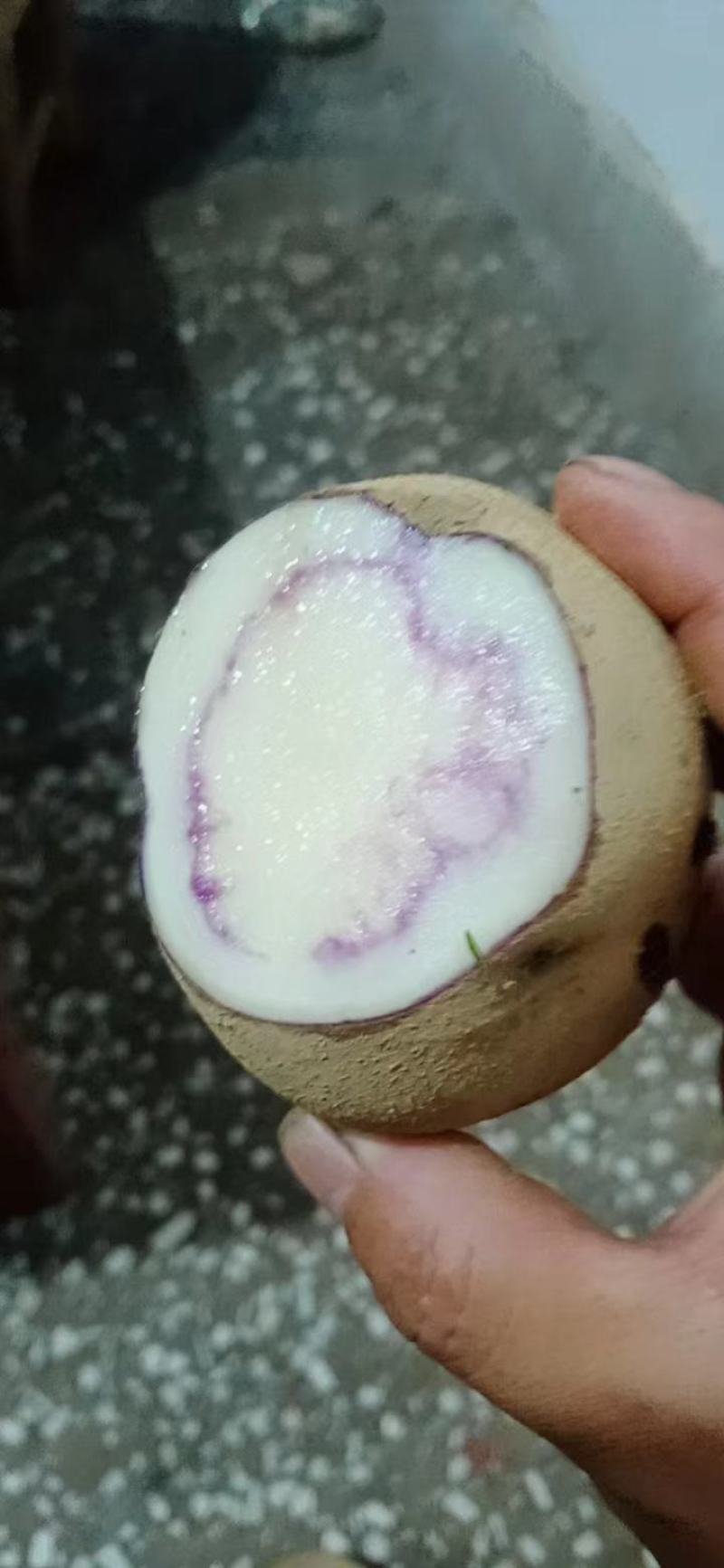 云南特色黑洋芋，黑金刚土豆量大从优，欢迎选购