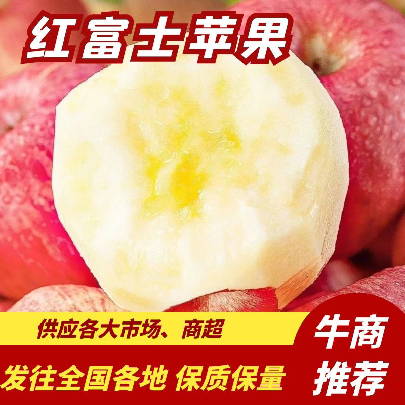 精品红富士苹果，山东红富士，皮薄脆甜量大果型好价格低