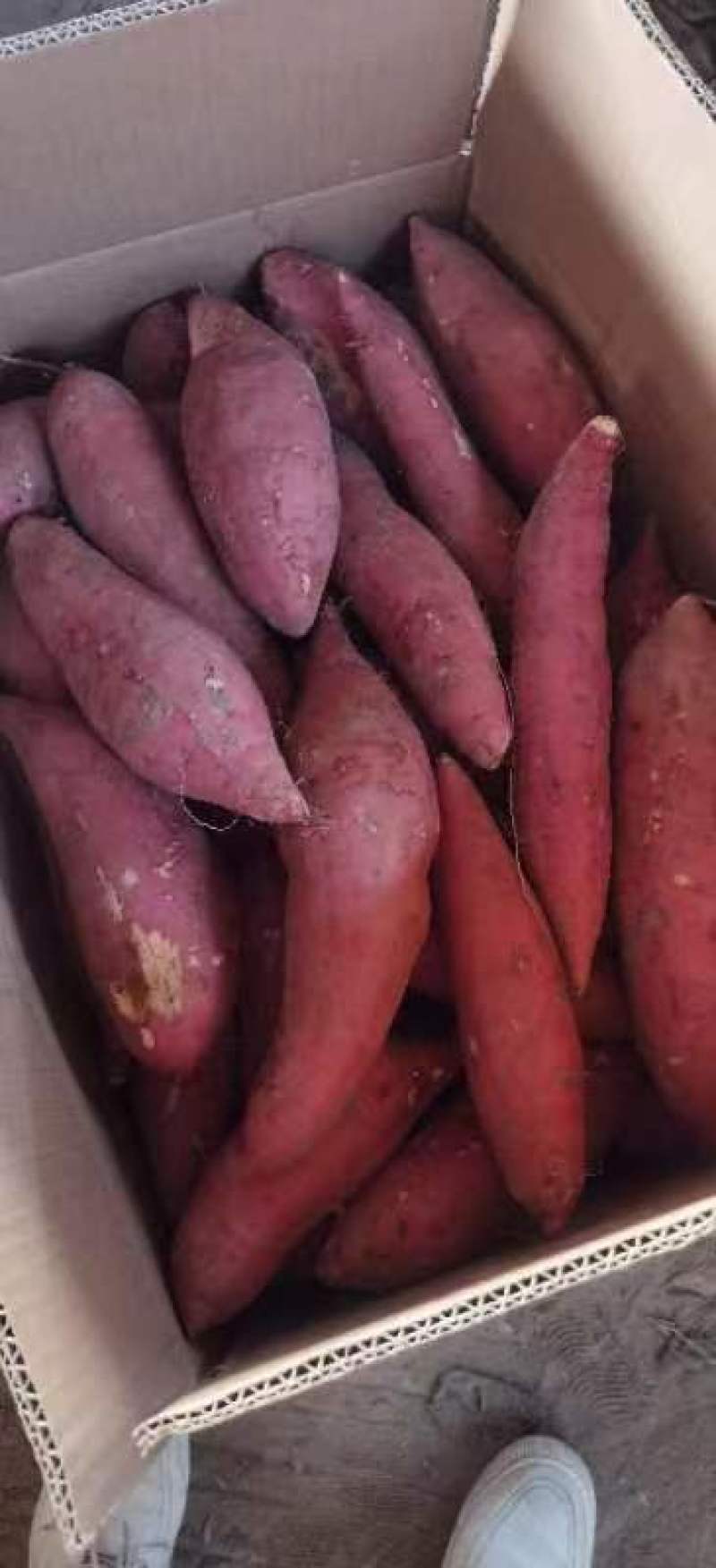 西瓜红，红薯大量供应有需要的朋友联系质量好价格实惠