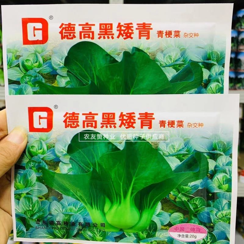 苏州青种子