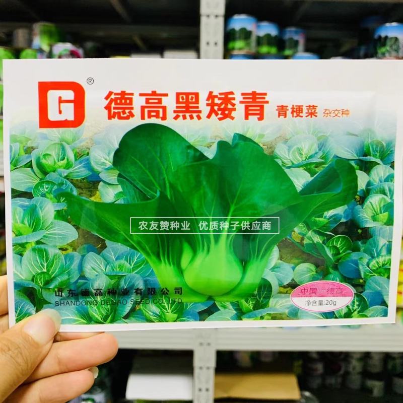 苏州青种子