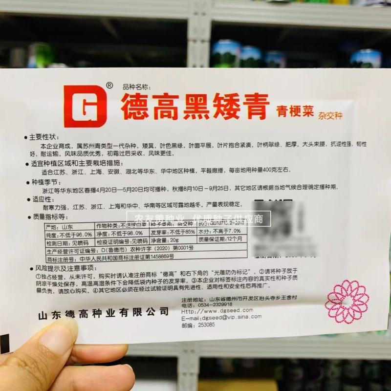 苏州青种子