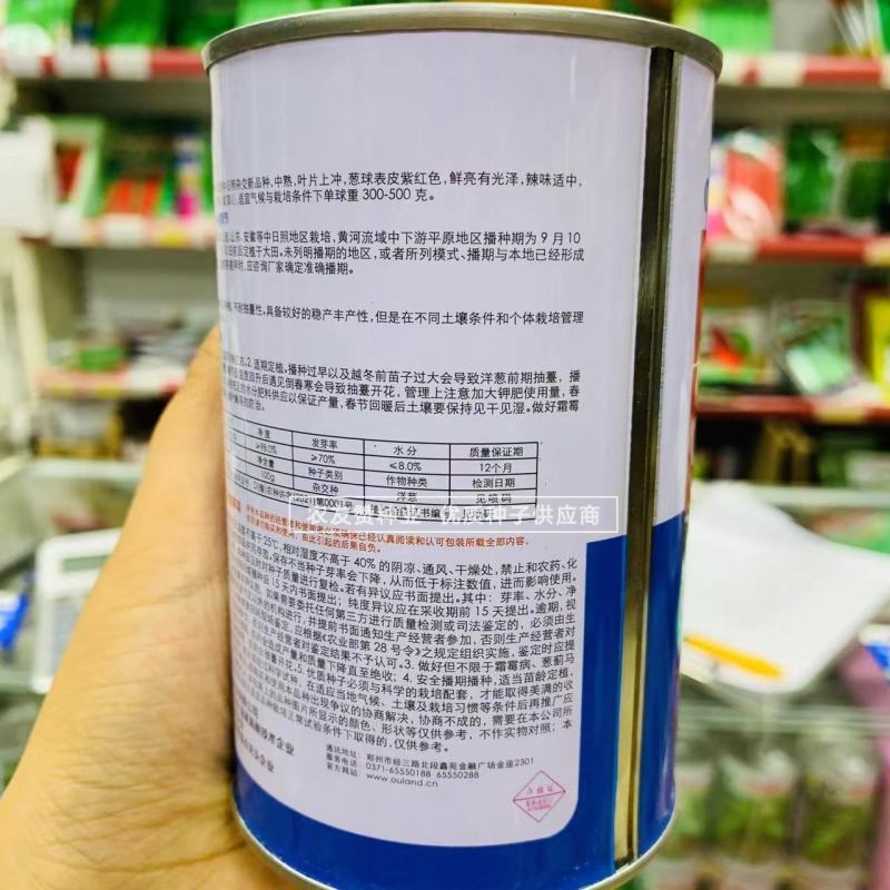 欧兰德种子紫福洋葱种子中日照杂交品种高产紫红皮洋葱种子