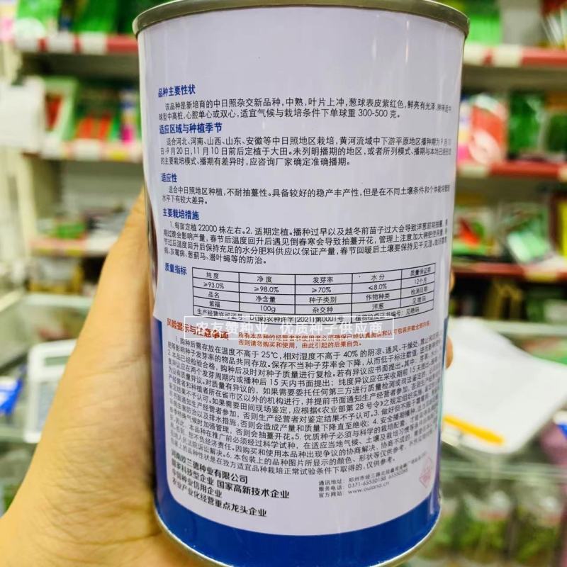 欧兰德种子紫福洋葱种子中日照杂交品种高产紫红皮洋葱种子