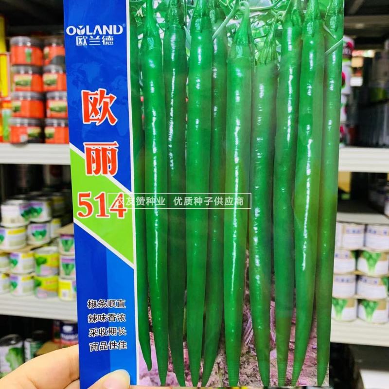 欧兰德欧丽514线椒种子味辣深绿色线椒条椒种子3号椒种子