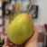 红香酥梨🍐