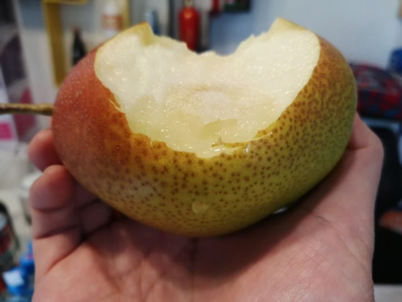 红香酥梨🍐
