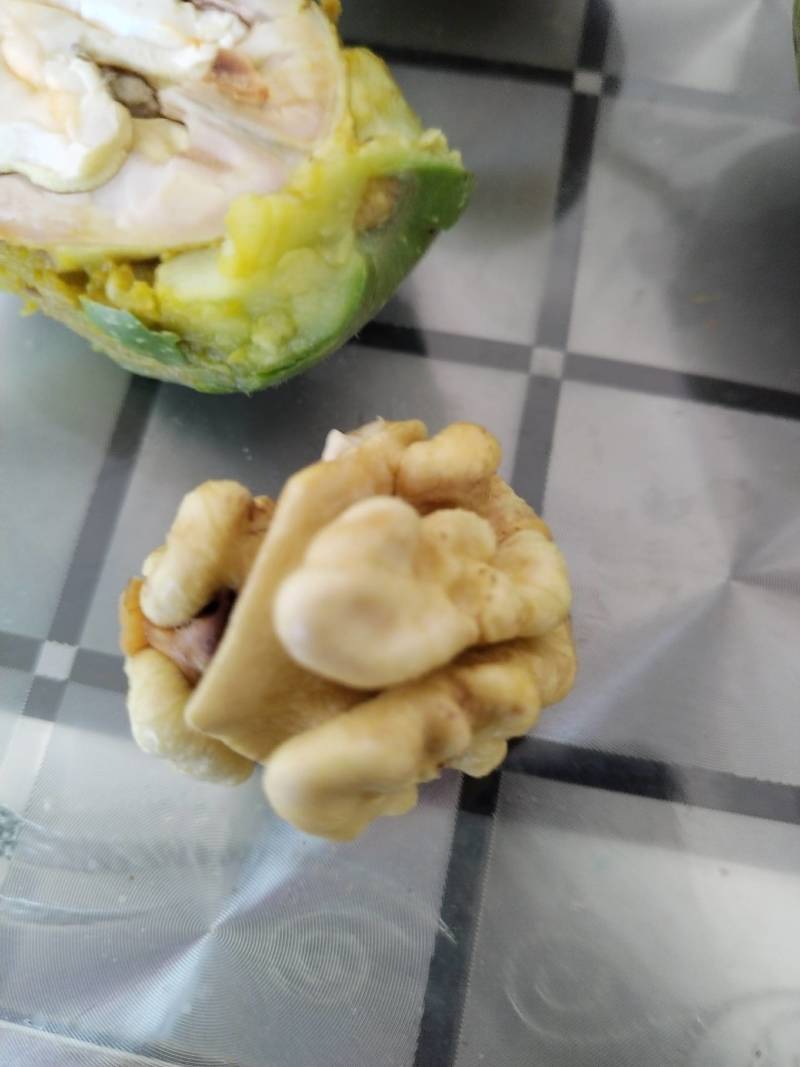 青皮核桃已大量上市货源充足品质保证