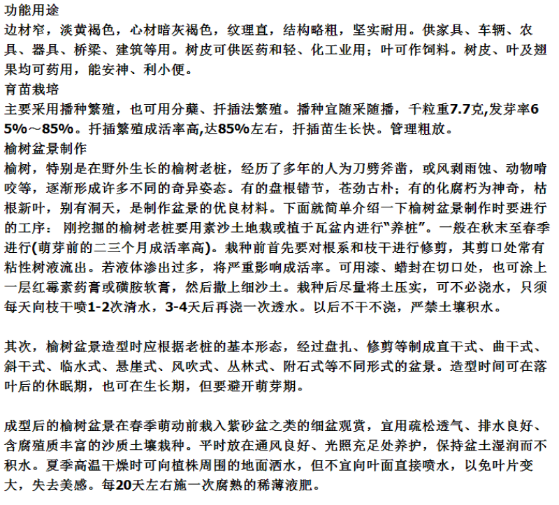 白榆树种子榆钱树防风林水土保持盐碱地造林林木种子