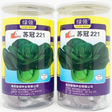 苏冠221黑叶矮脚苏州青种子耐寒特矮油亮黑菜种400克