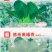 德高黑矮青苏州青种子耐寒特矮油亮软糯黑菜种20克原装发货