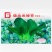 德高黑矮青苏州青种子耐寒特矮油亮软糯黑菜种20克原装发货