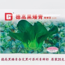 德高黑矮青苏州青种子耐寒特矮油亮软糯黑菜种20克原装发货
