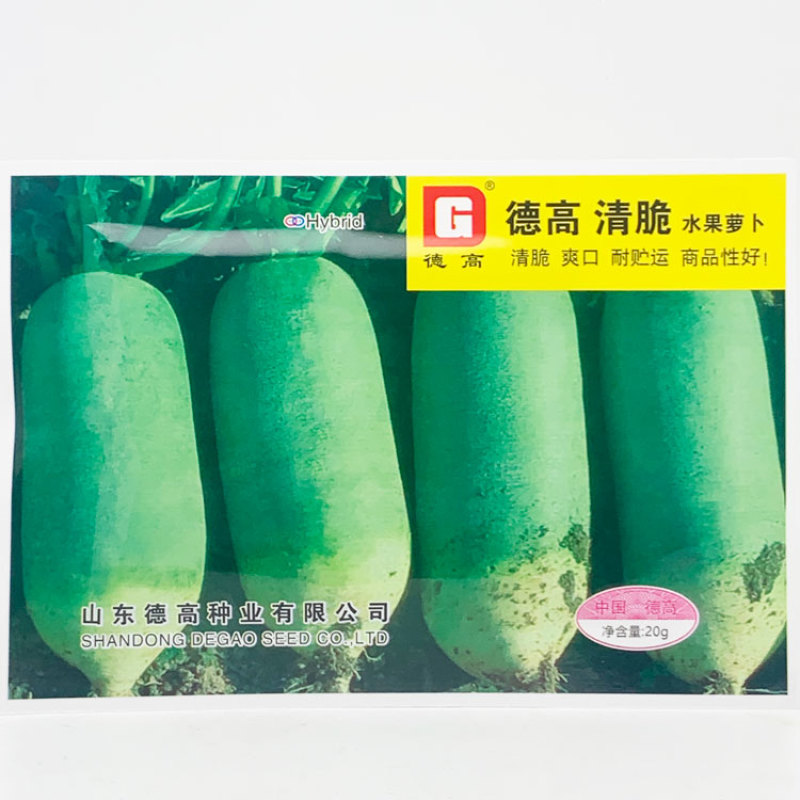 德高清脆水果萝卜种子青皮青肉甜脆生吃青萝卜种子20克