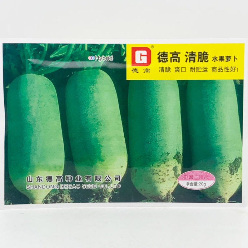 德高清脆水果萝卜种子青皮青肉甜脆生吃青萝卜种子20克