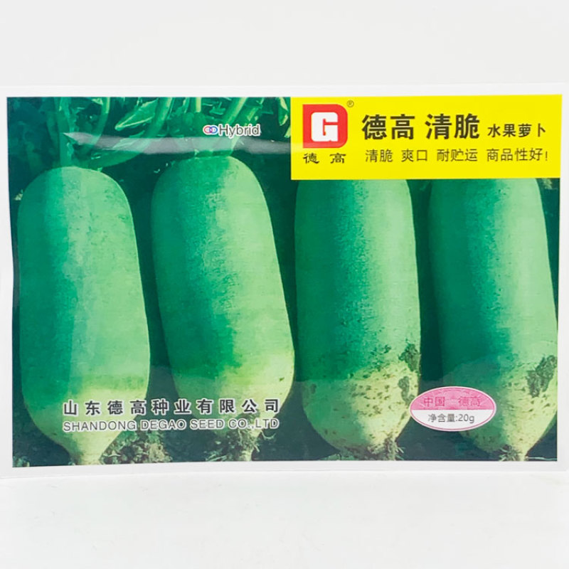 德高清脆水果萝卜种子青皮青肉甜脆生吃青萝卜种子20克