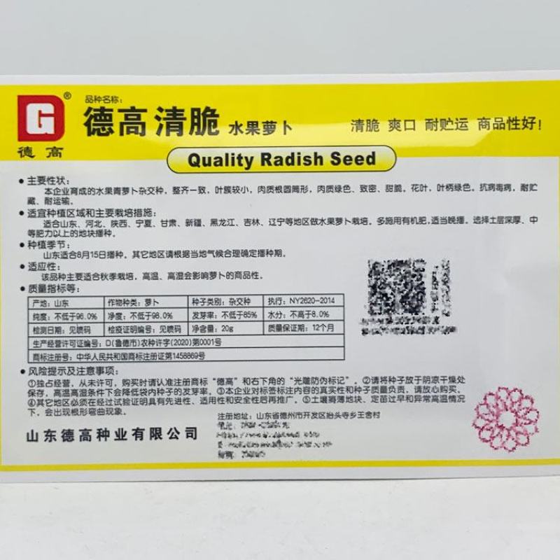德高清脆水果萝卜种子青皮青肉甜脆生吃青萝卜种子20克