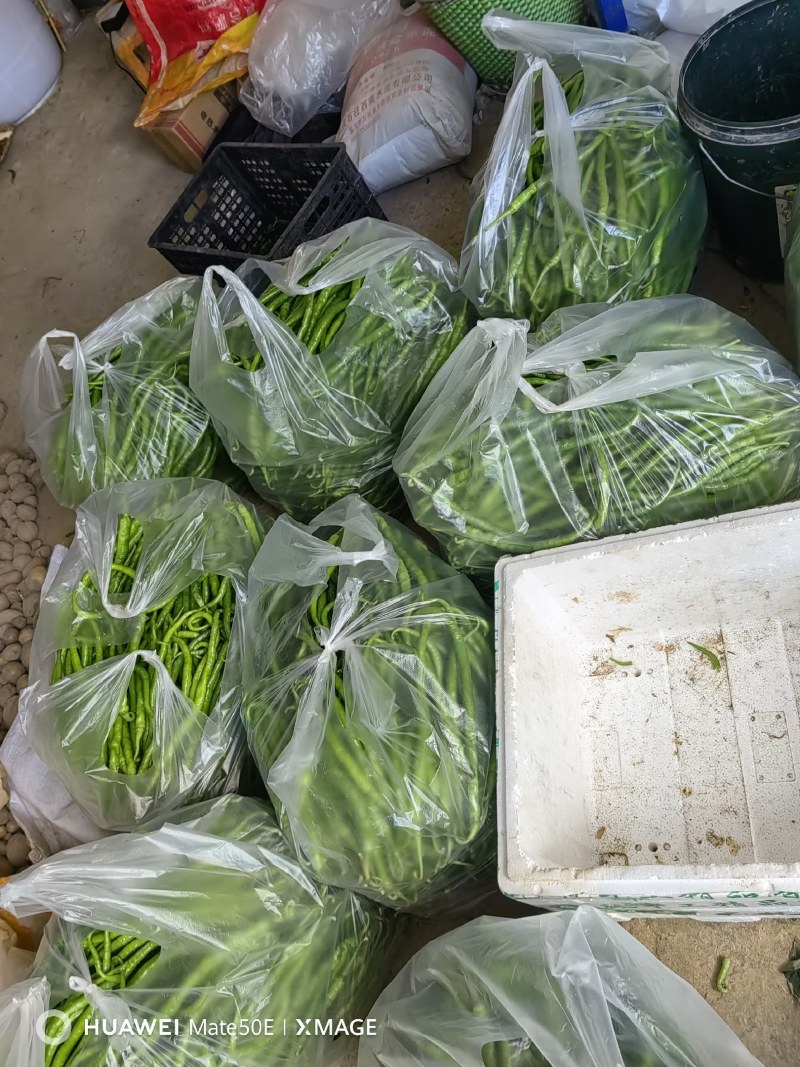 香辣椒薄皮