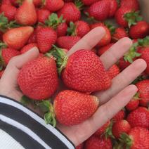基地直供夏季草莓