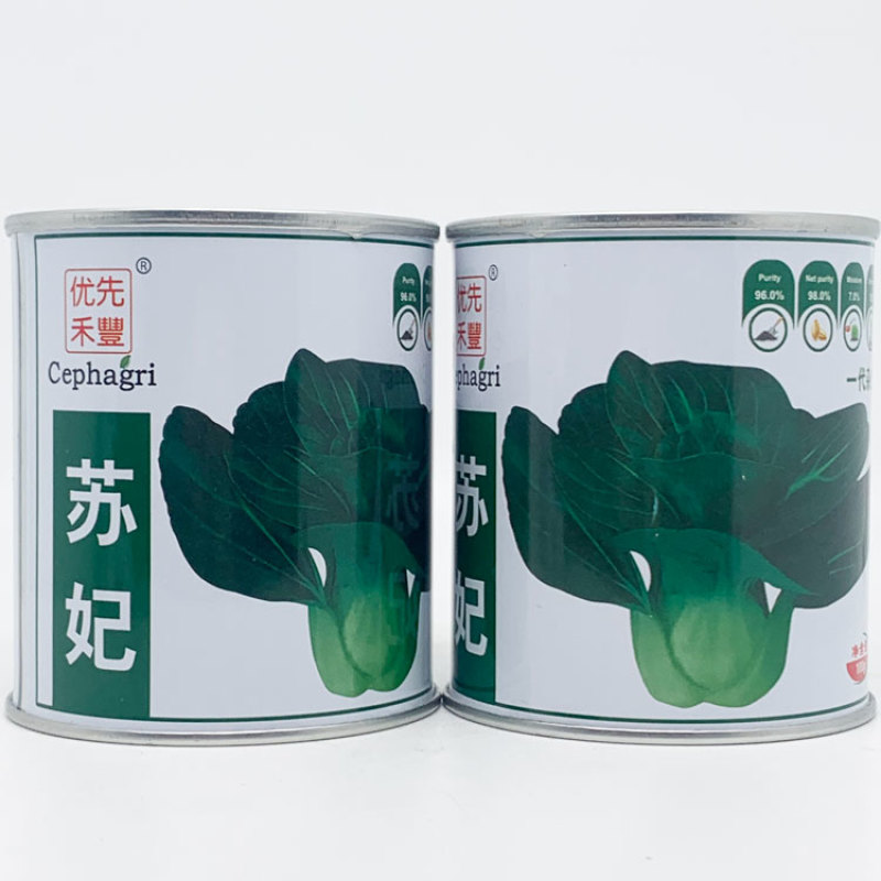 苏妃黑甜苏黑叶矮脚苏州青种子耐寒特矮油亮黑叶菜种原装发货