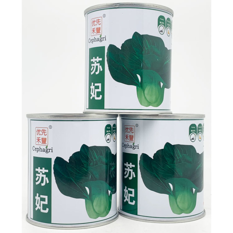 苏妃黑甜苏黑叶矮脚苏州青种子耐寒特矮油亮黑叶菜种原装发货