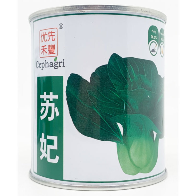 苏妃黑甜苏黑叶矮脚苏州青种子耐寒特矮油亮黑叶菜种原装发货