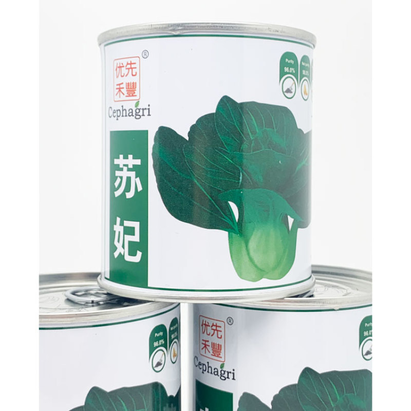 苏妃黑甜苏黑叶矮脚苏州青种子耐寒特矮油亮黑叶菜种原装发货
