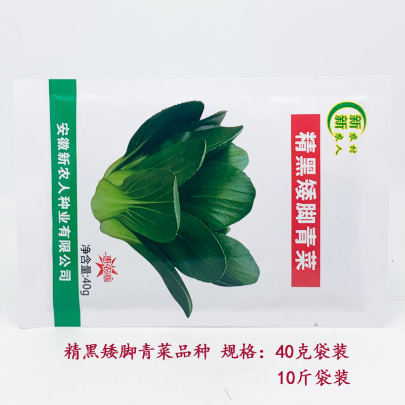 精黑矮脚青菜种子耐寒特矮油亮软糯小棵菜苏州青种子