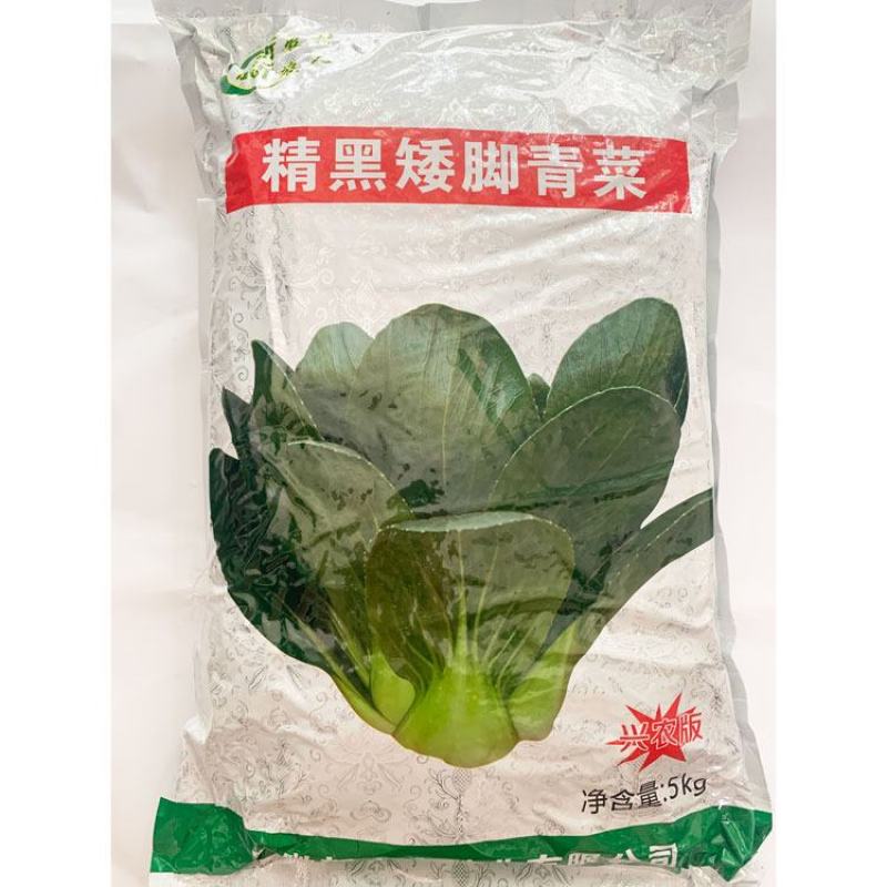 精黑矮脚青菜种子耐寒特矮油亮软糯小棵菜苏州青种子
