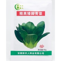 精黑矮脚青菜种子耐寒特矮油亮软糯小棵菜苏州青种子