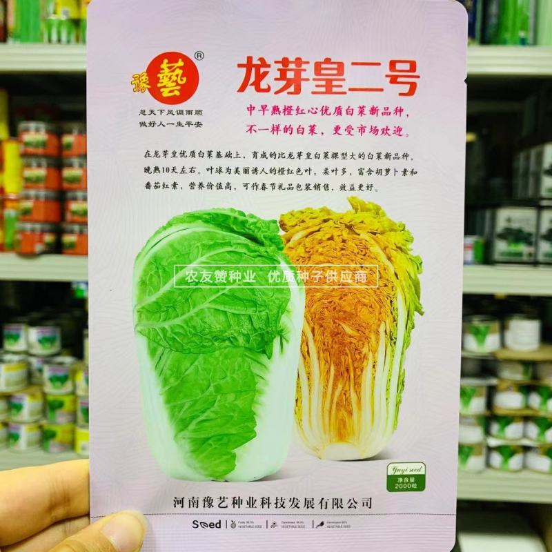 豫艺龙芽皇二号白菜种子橘红心大白菜种子营养价值高优质菜籽