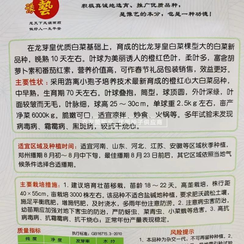 豫艺龙芽皇二号白菜种子橘红心大白菜种子营养价值高优质菜籽
