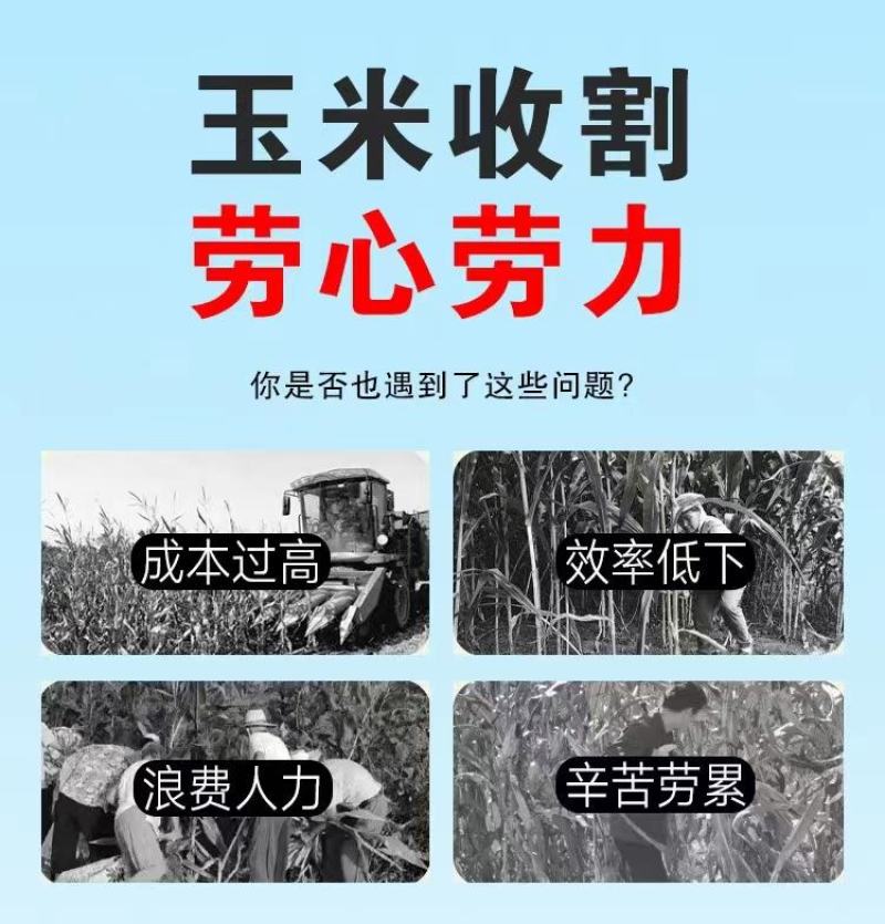 多能玉米收获机摘棒扒皮秸秆粉碎一体机柴油玉米收获机