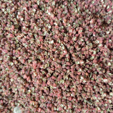 产地色选后的红黑包子,半开口,全开口混合花椒