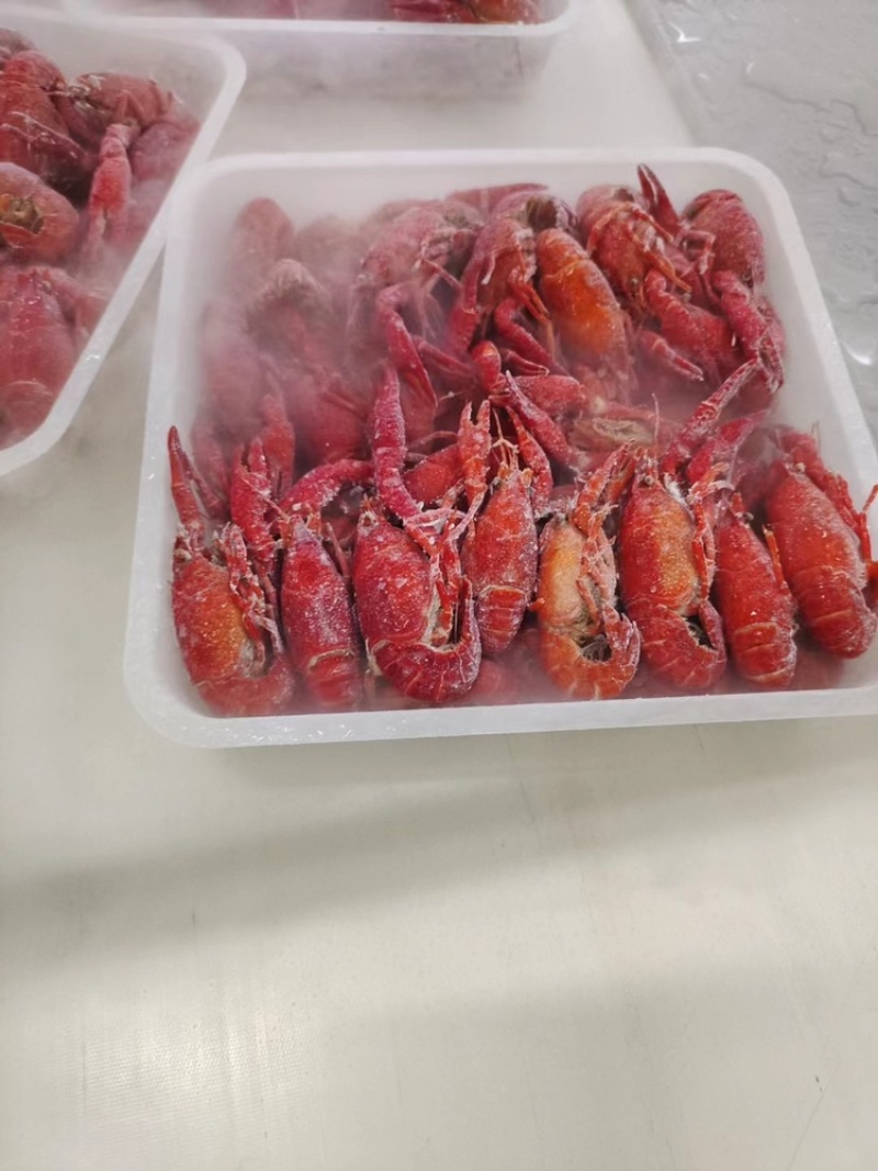 潜江清水速冻虾油炸液氮虾液氮锁鲜虾免清洗油炸解冻即用
