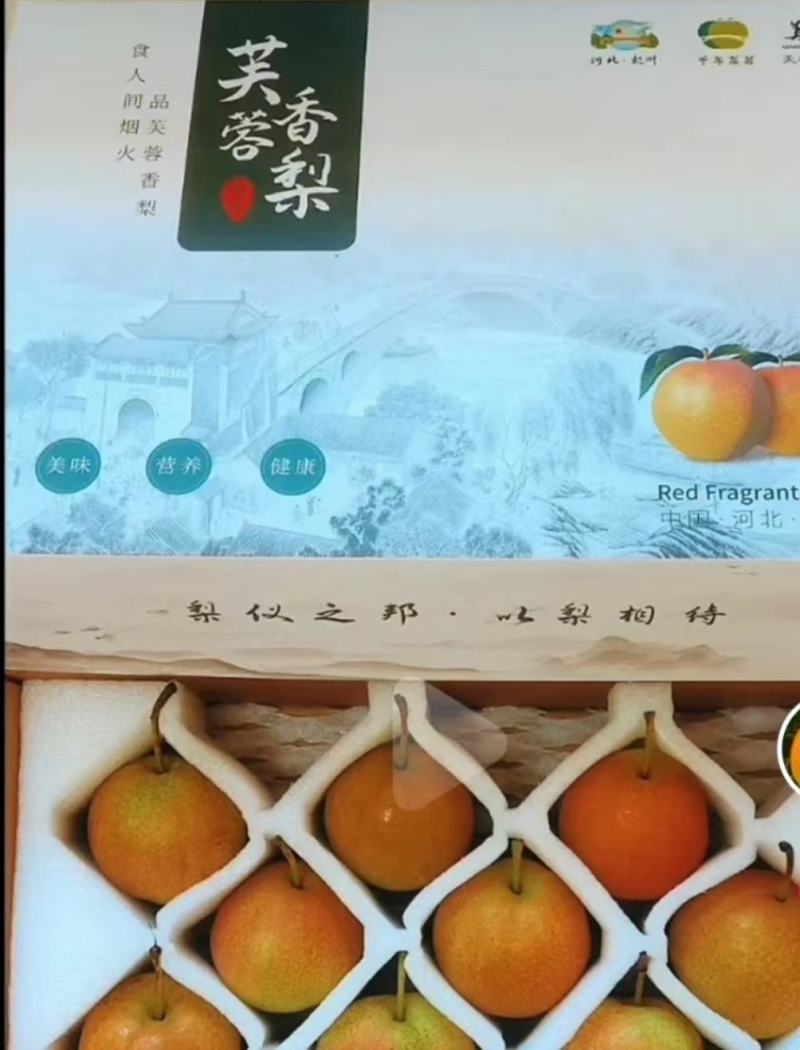 芙蓉香梨
