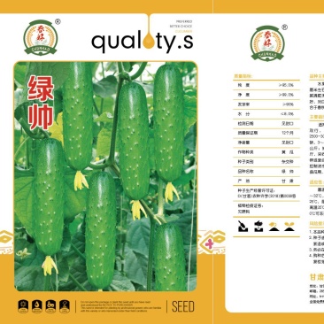 高品质口感型的高产抗病性强水果黄瓜种子，一手货源厂家直供
