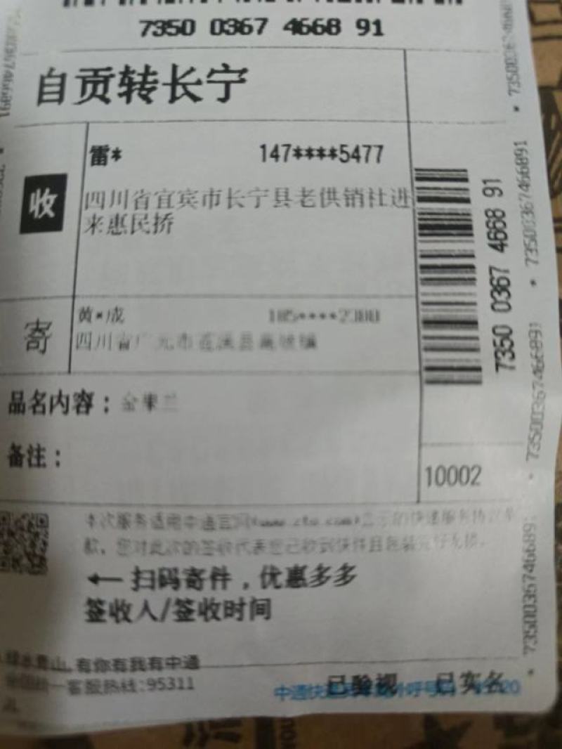 川黄精不倒种仔，成熟度高，霜降过后采摘，包出苗