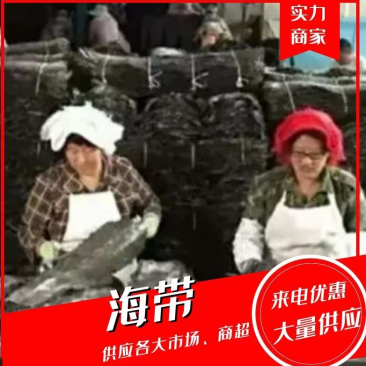 蓬莱长岛精品海带干海带无沙产地直发量大从优
